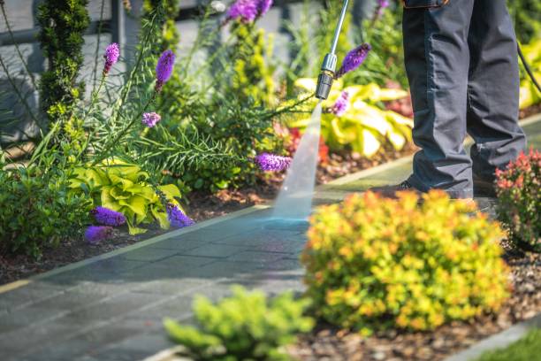 Best Pool Deck Cleaning  in Oakwood, GA